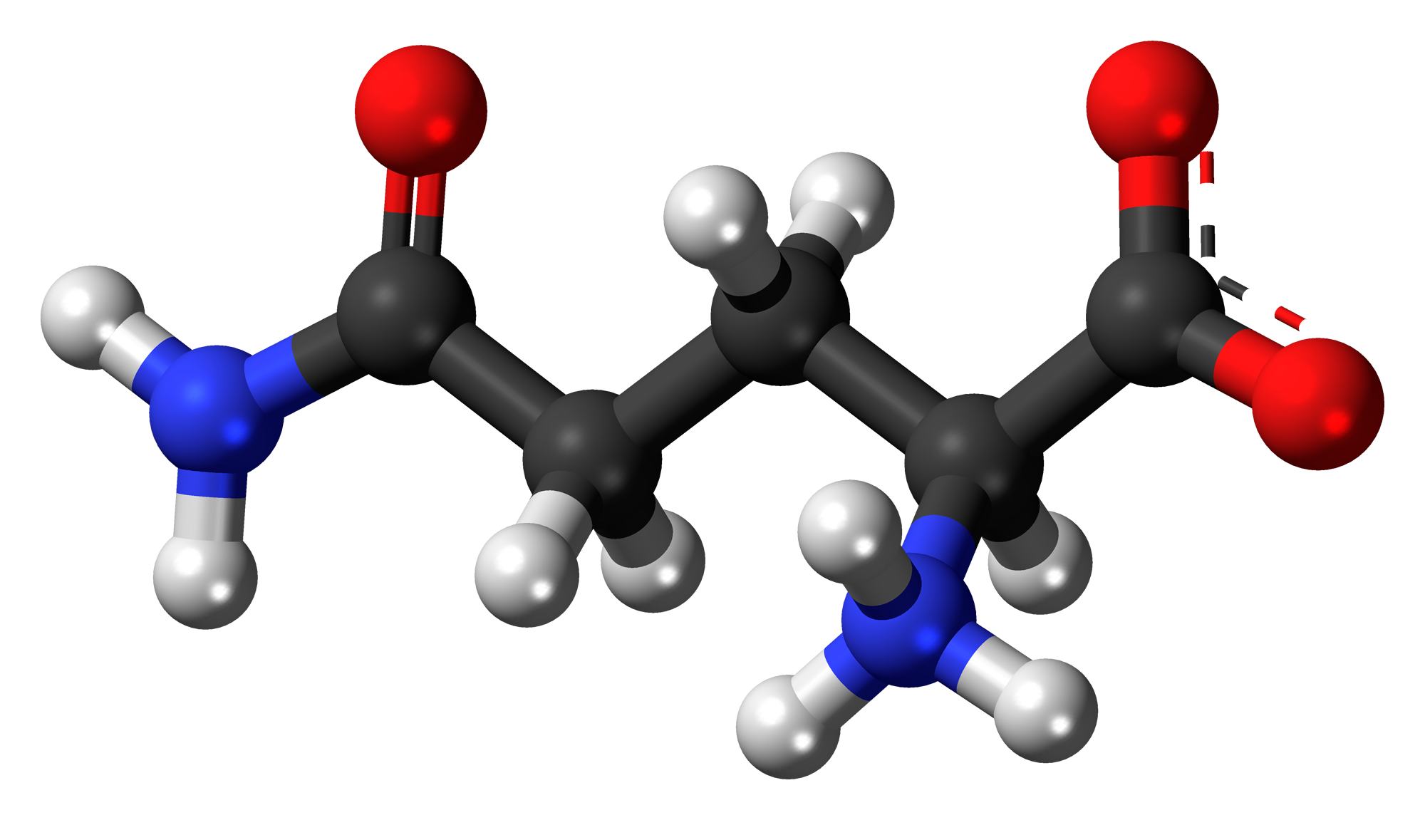 Does LGlutamine Heal A Leaky Gut? Fatigue To Flourish