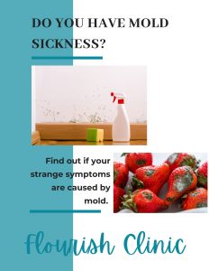 Mold Sickness ebook