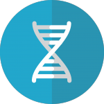 Is High Cholesterol Genetic?