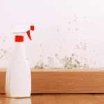 How To Check For Mold In Your House